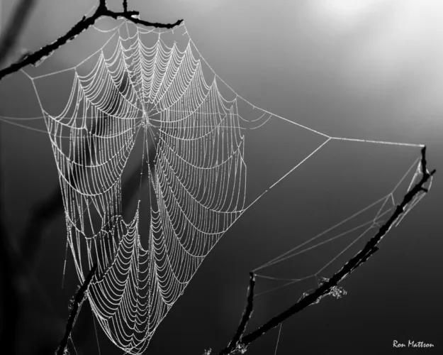 Spooky, spooky
